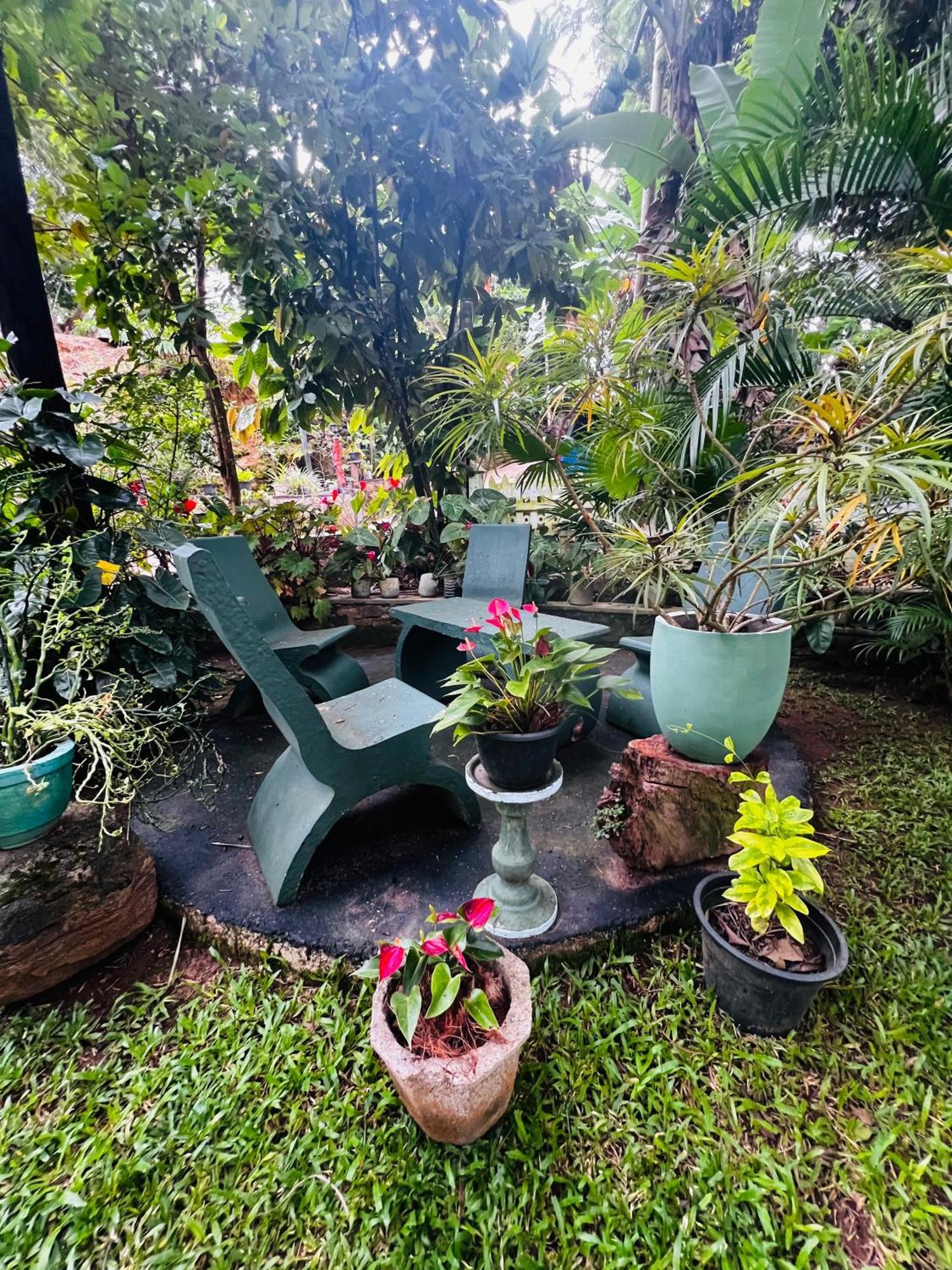 Rest Full Homestay Ella Exterior foto
